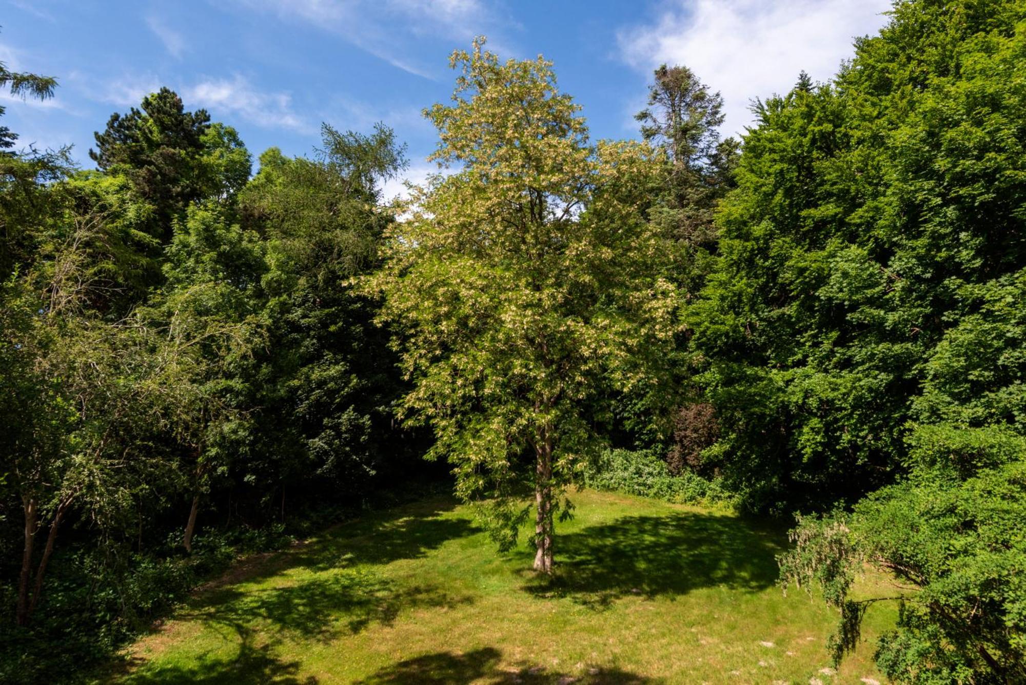 Precise Resort Ruegen - Hotel & Splash Erlebniswelt Sagard Exterior foto
